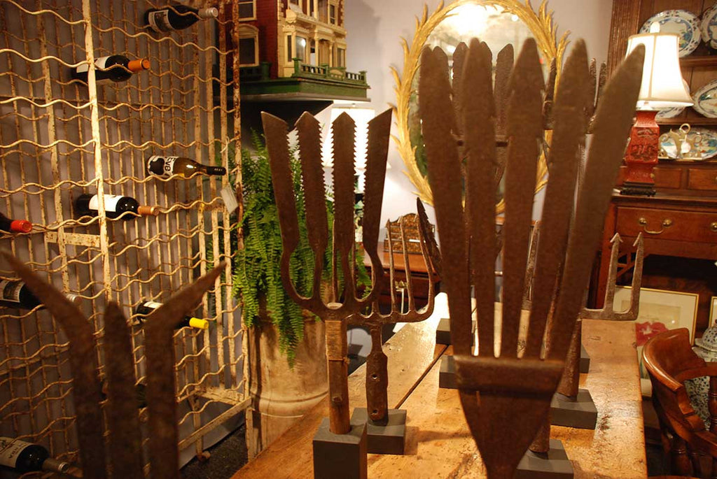 Eel Spears Everywhere