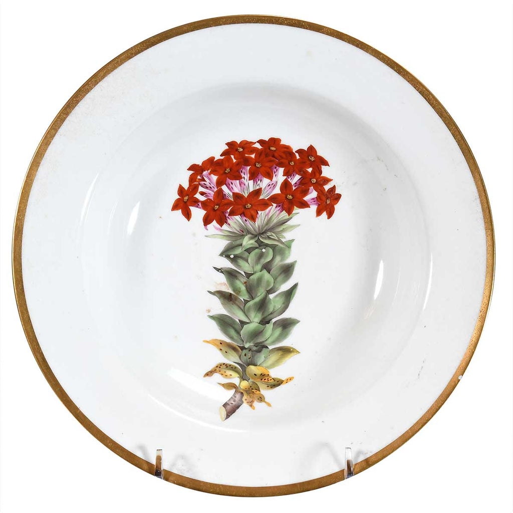 Pair of Chamberlain's Worcester Soups with Botanical Specimens