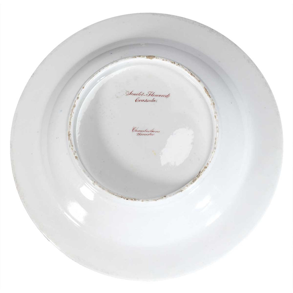 Pair of Chamberlain's Worcester Soups with Botanical Specimens