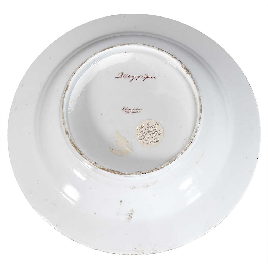 Pair of Chamberlain's Worcester Soups with Botanical Specimens