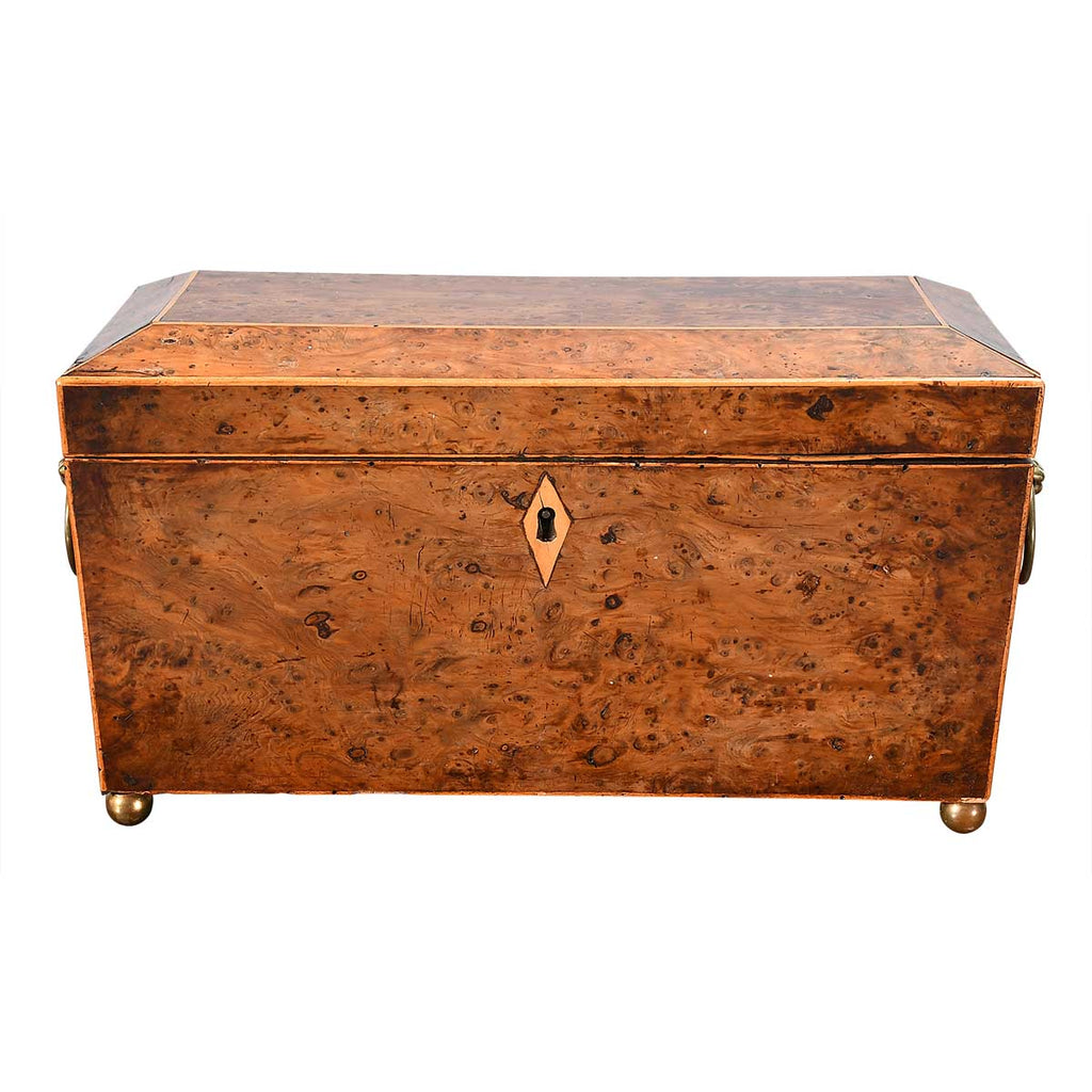 Burr Yew Wood Tea Caddy