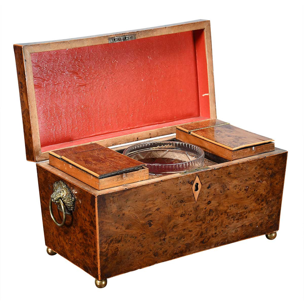 Burr Yew Wood Tea Caddy
