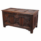 Oak Coffer with Paneled Top