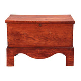 Elm Trunk on Stand