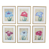 Six Watercolor Irises