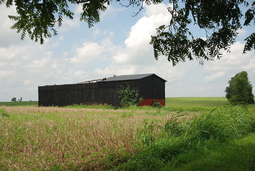 Requiem for a Barn