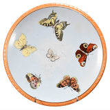 Ashworth's Ironstone Butterfly Plates