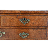 Burr Elm Chest of Drawers