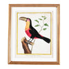 Martinet Tropical Bird Prints