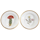 Pair of Chamberlain's Worcester Soups with Botanical Specimens