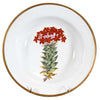 Pair of Chamberlain's Worcester Soups with Botanical Specimens