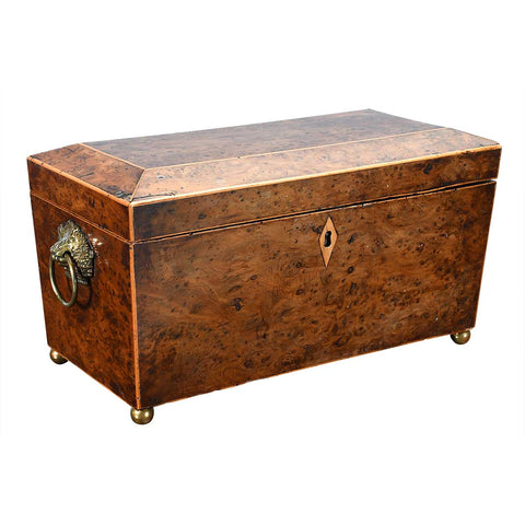 Burr Yew Wood Tea Caddy