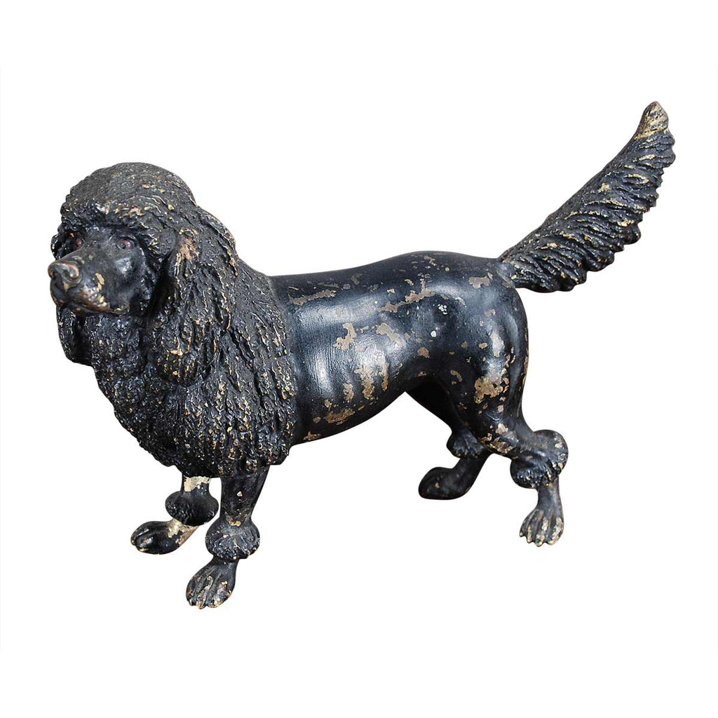 Austrian Bronze Poodle