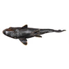 Bronze Carp