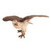Austrian Bronze Eagle