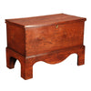 Elm Trunk on Stand
