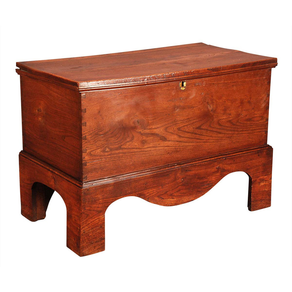 Elm Trunk on Stand