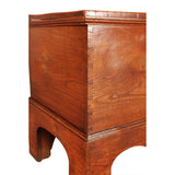Elm Trunk on Stand
